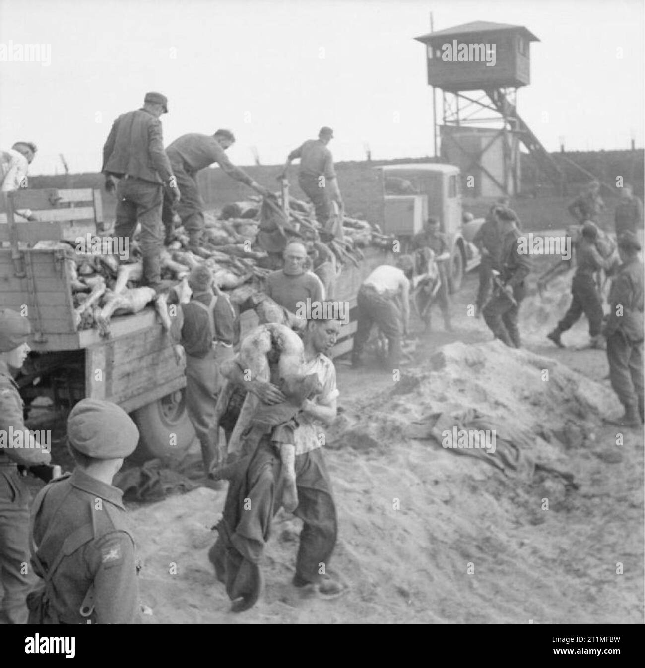 The Liberation of Bergen-belsen Concentration Camp, April 1945 SS camp guards remove bodies from lorries and carry them to the mass grave. Stock Photo