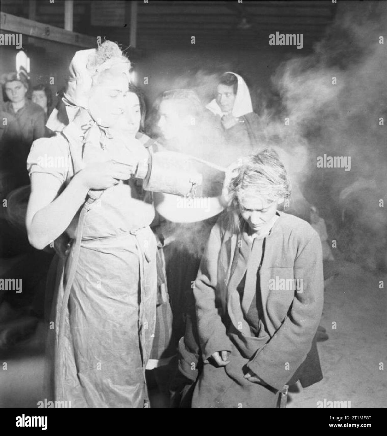 The Liberation of Bergen-belsen Concentration Camp, May 1945 After dressing in clean clothes, a woman inmate is dusted with DDT powder to kill the lice which spread typhus. The dusting is done by other former camp inmates (many of whom were trained nurses before being interned) under the supervision of the Royal Army Medical Corps. Stock Photo