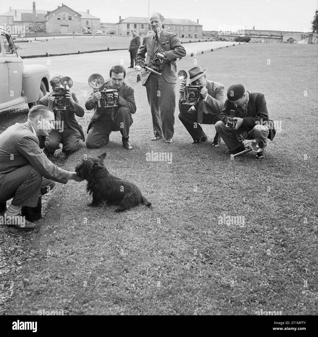 The Quebec Conference, August 1943 President Roosevelt's pet dog 'Falla' poses for a battery of press photographers while they wait for news of the deliberations at the Quebec Conference. They in turn are photographed by the War Office official photographer. Stock Photo