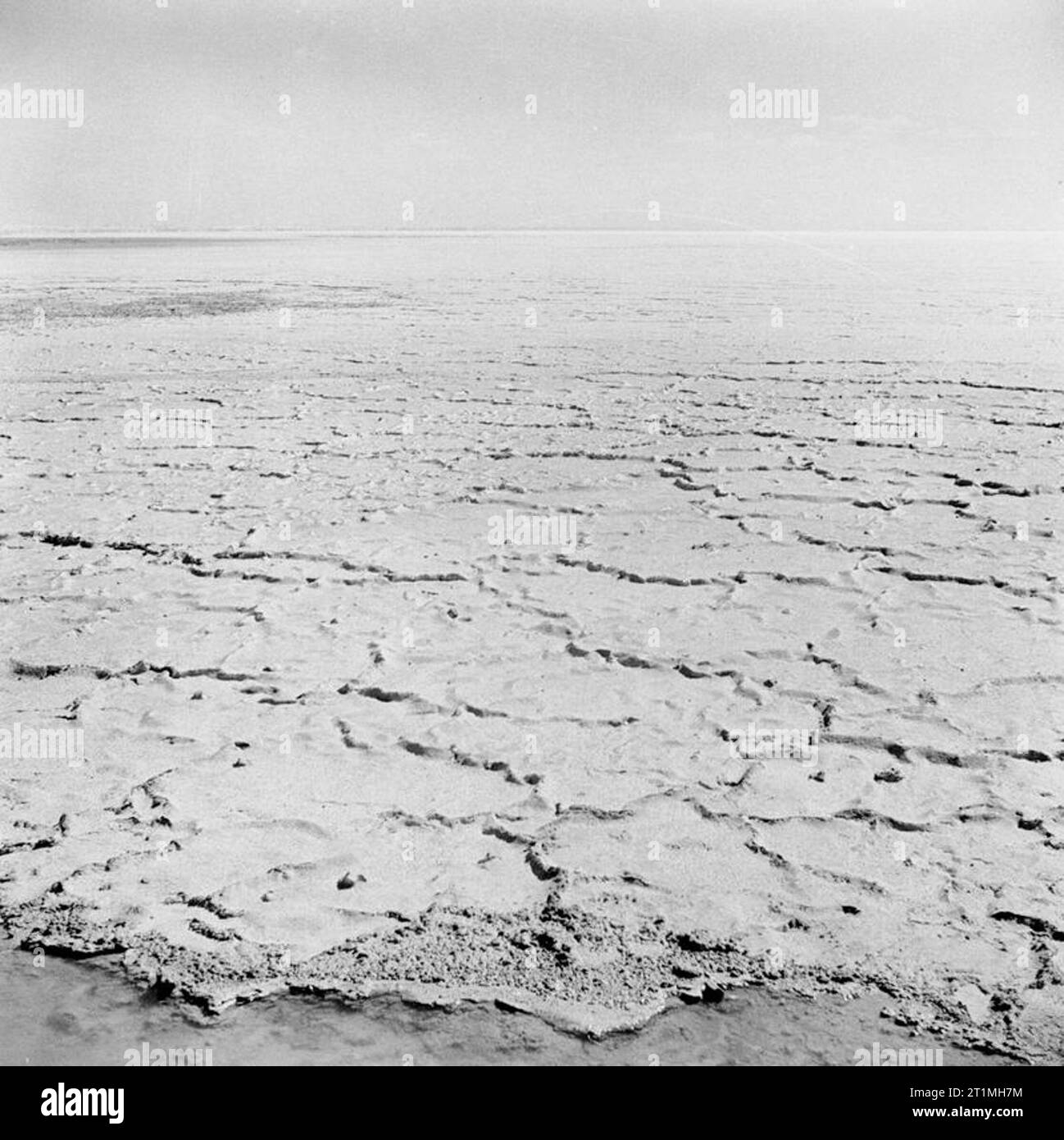 Defences in the Quatara Depression The Quatara Depression lies about about thirty miles South of El Alamein and forms a natural obstacle for an advancing army in that it is composed of soft sand, bogs and salt flats impassable to motorised transport. This salt lake in the Quatara Depression illustrates the almost impassable nature of the ground. Stock Photo