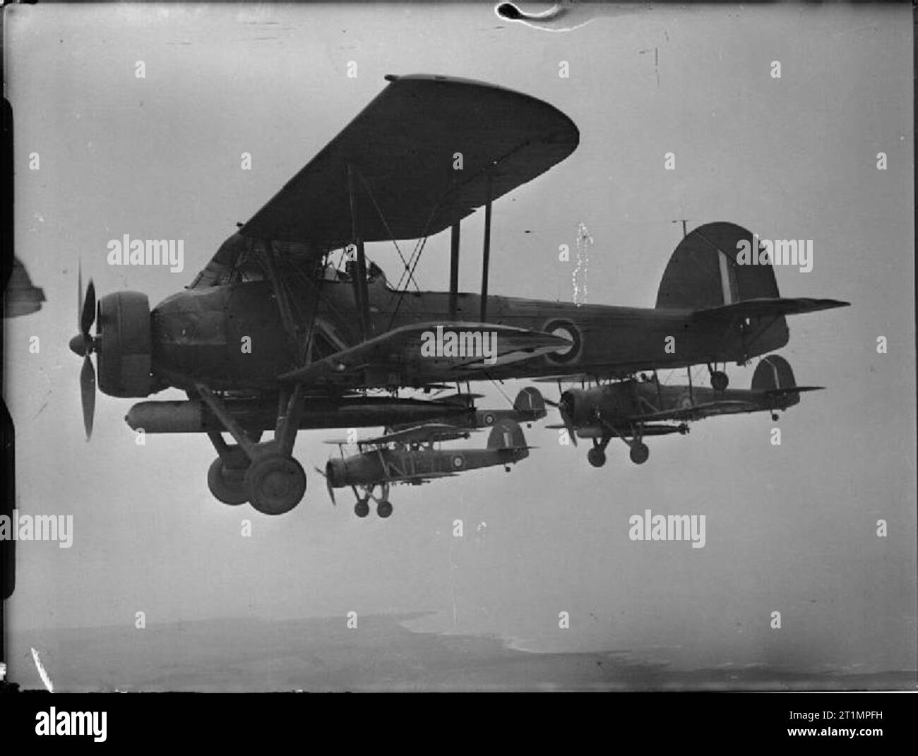 The Royal Navy during the Second World War No 785 Squadron, Fleet Air