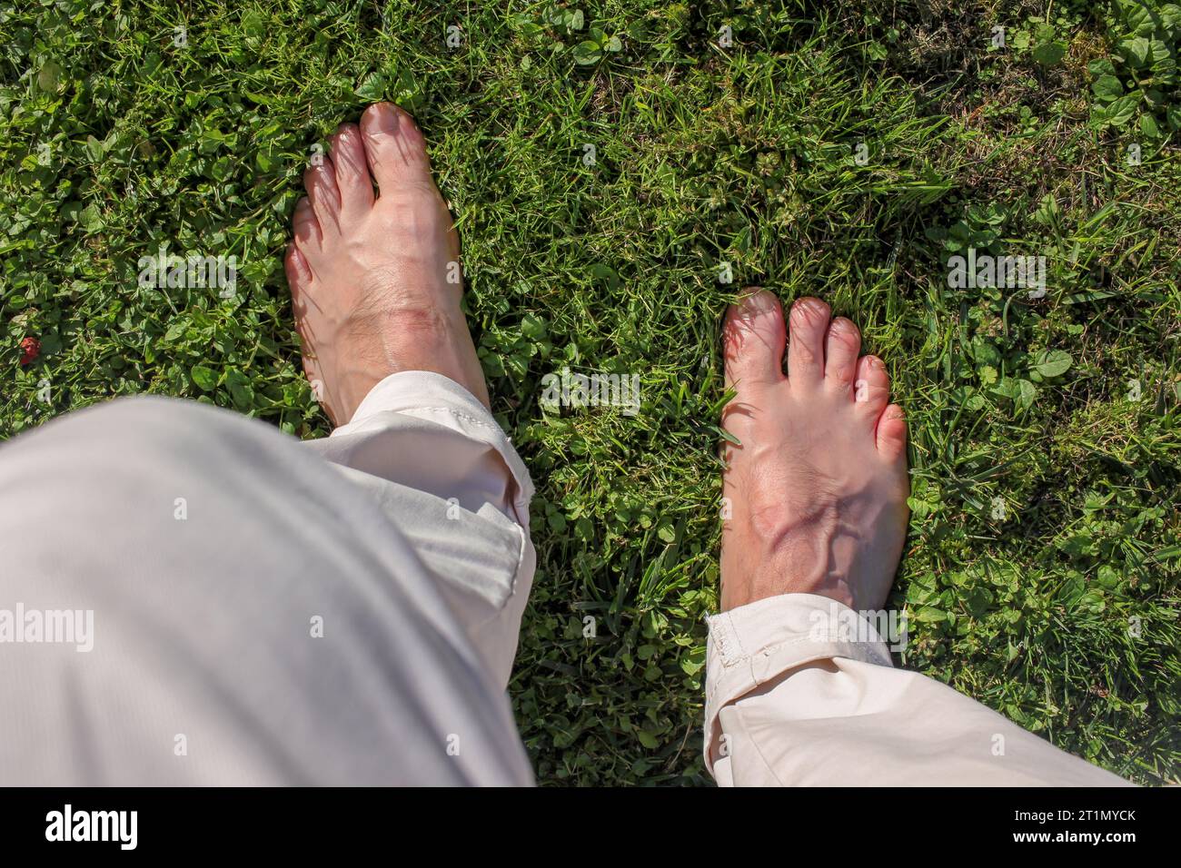 walking on the grass in my garden is a healthy activity Stock Photo