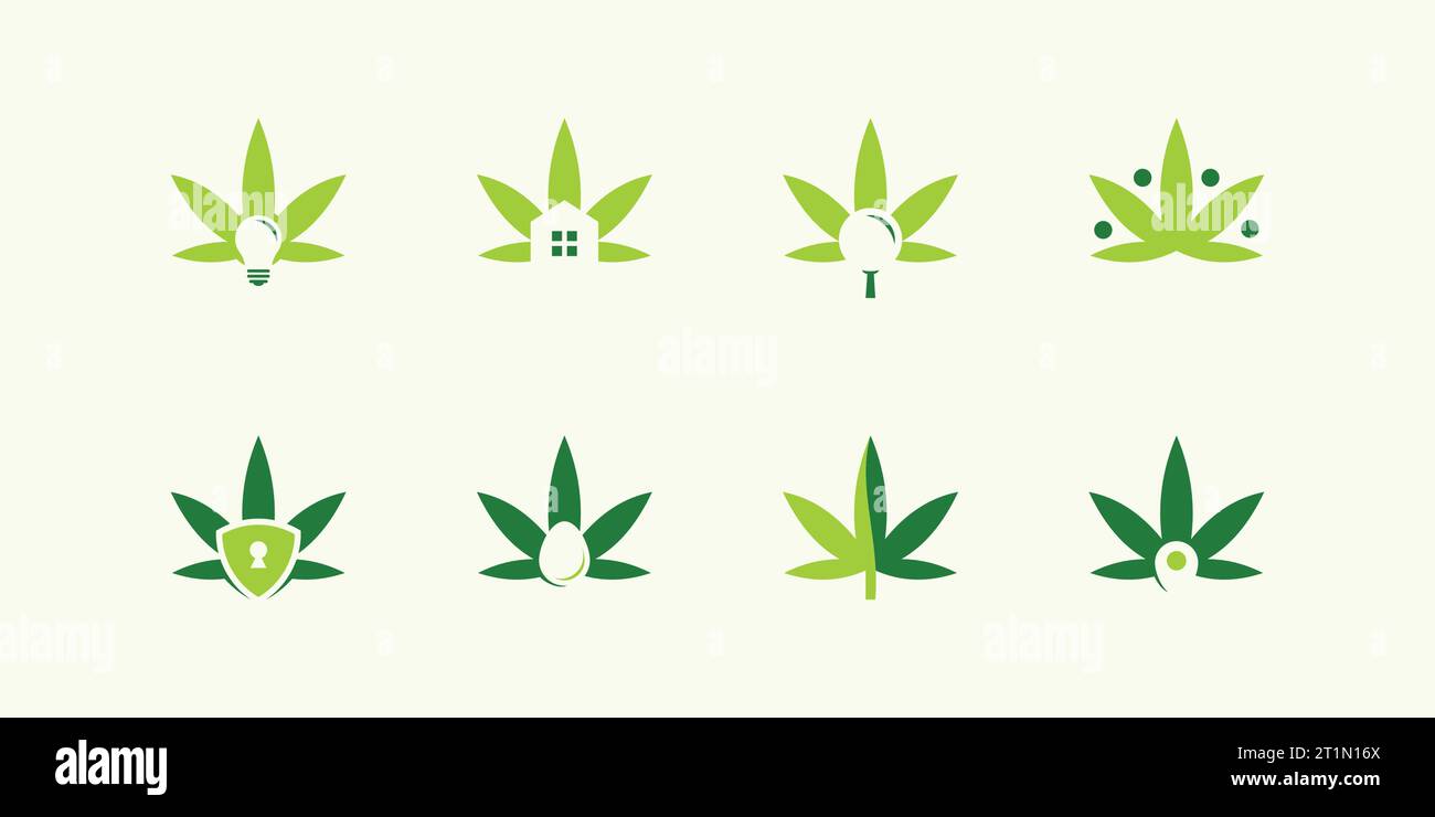 Collection of marijuana leaf logo designs template with various combinations design graphic vector illustration. Symbol, icon, creative. Stock Vector