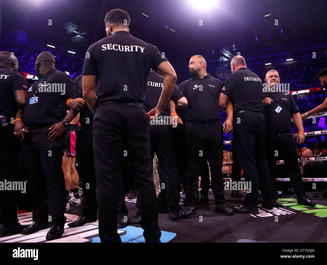 Security step in between Logan Paul and Dillon Danis during the MF and