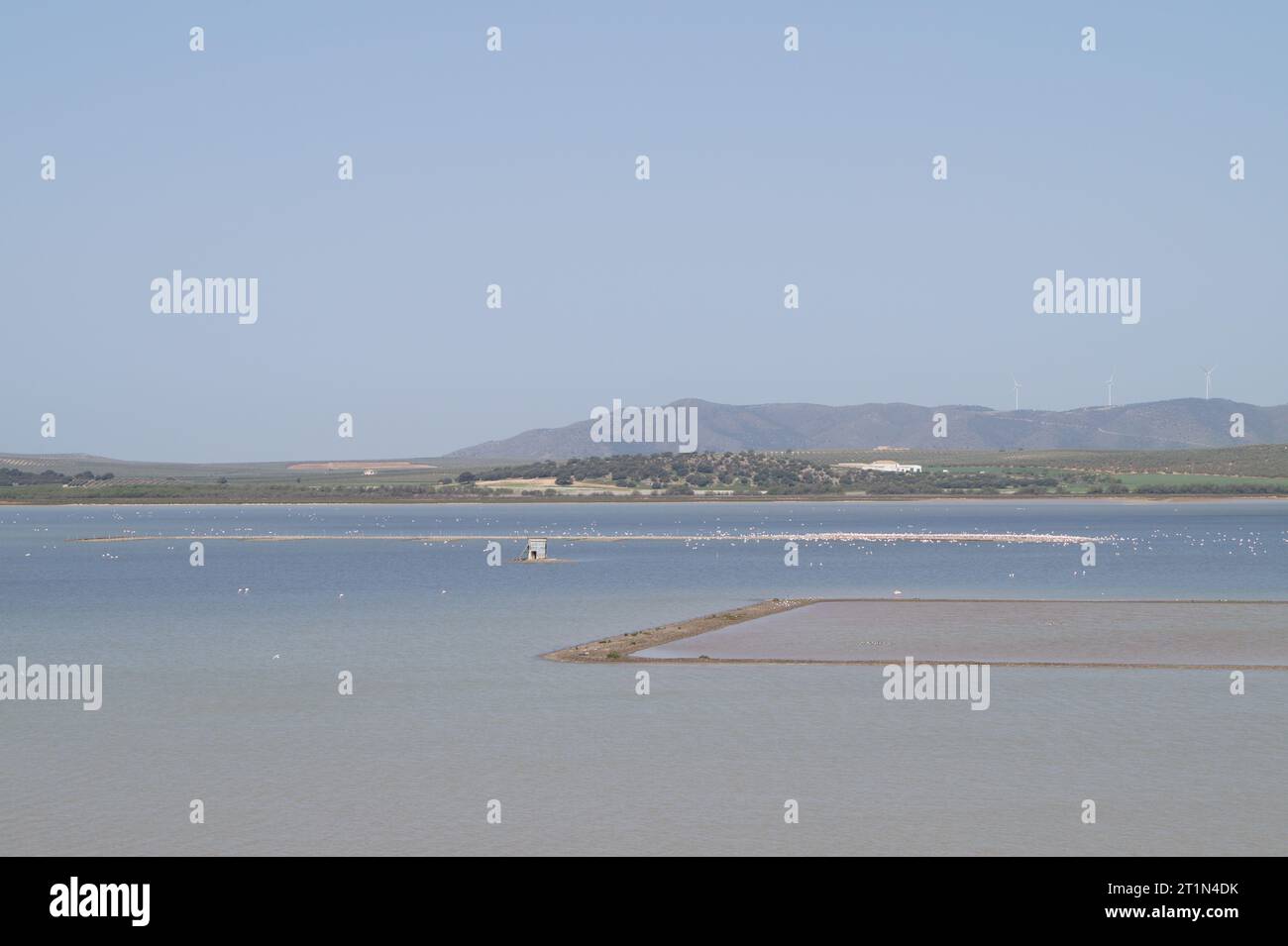 Fuente de piedra lagoon april 2021 stock photo alamy