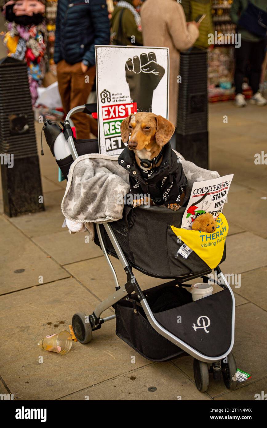 London, United Kingdom - October 14th 2023: Pro-Palestine march in