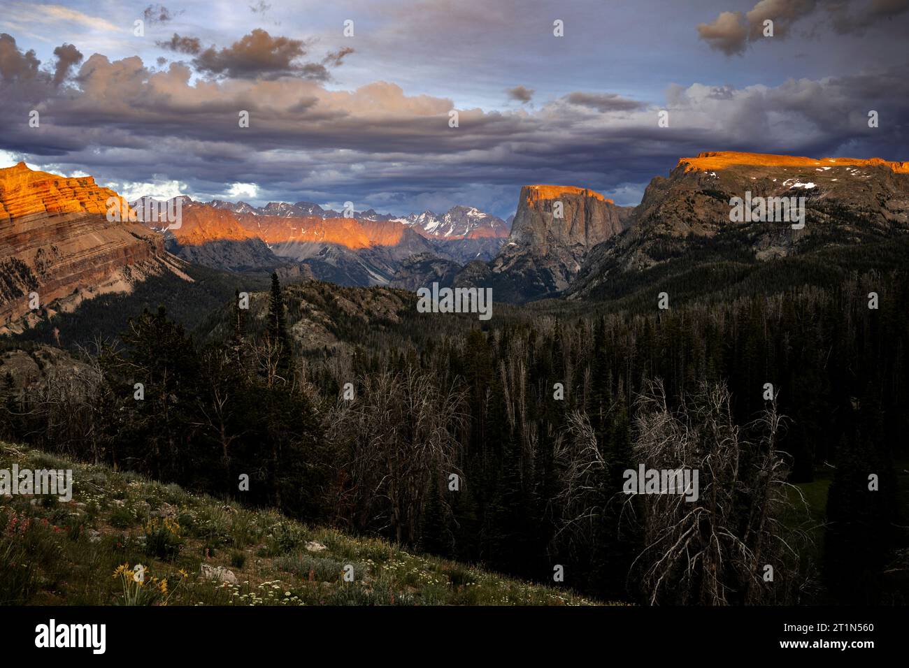 WY05414-00....WYOMING - Squaretop Mountain and the Wind River Range viewed from the Twin Lakes Trail, Bridger Wilderness, Bridger National Forest. Stock Photo