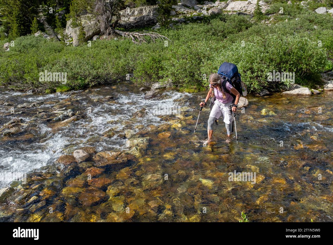 WY05475-00....WYOMING -  Woman crossing a stream near Elbow Lake along the Contiental Divide Trail in the Bridger Wilderness, Bridger National Forest. Stock Photo