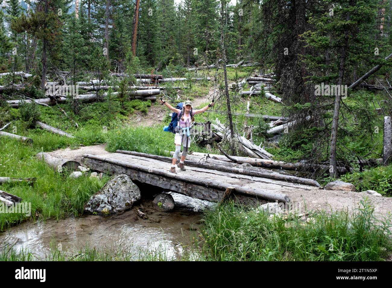 WY05489-00....WYOMING - Backpacker celebrates a bridge along the Porcupine Trail in the Bridger Wilderness, Bridger National Forest. MR#S1 Stock Photo