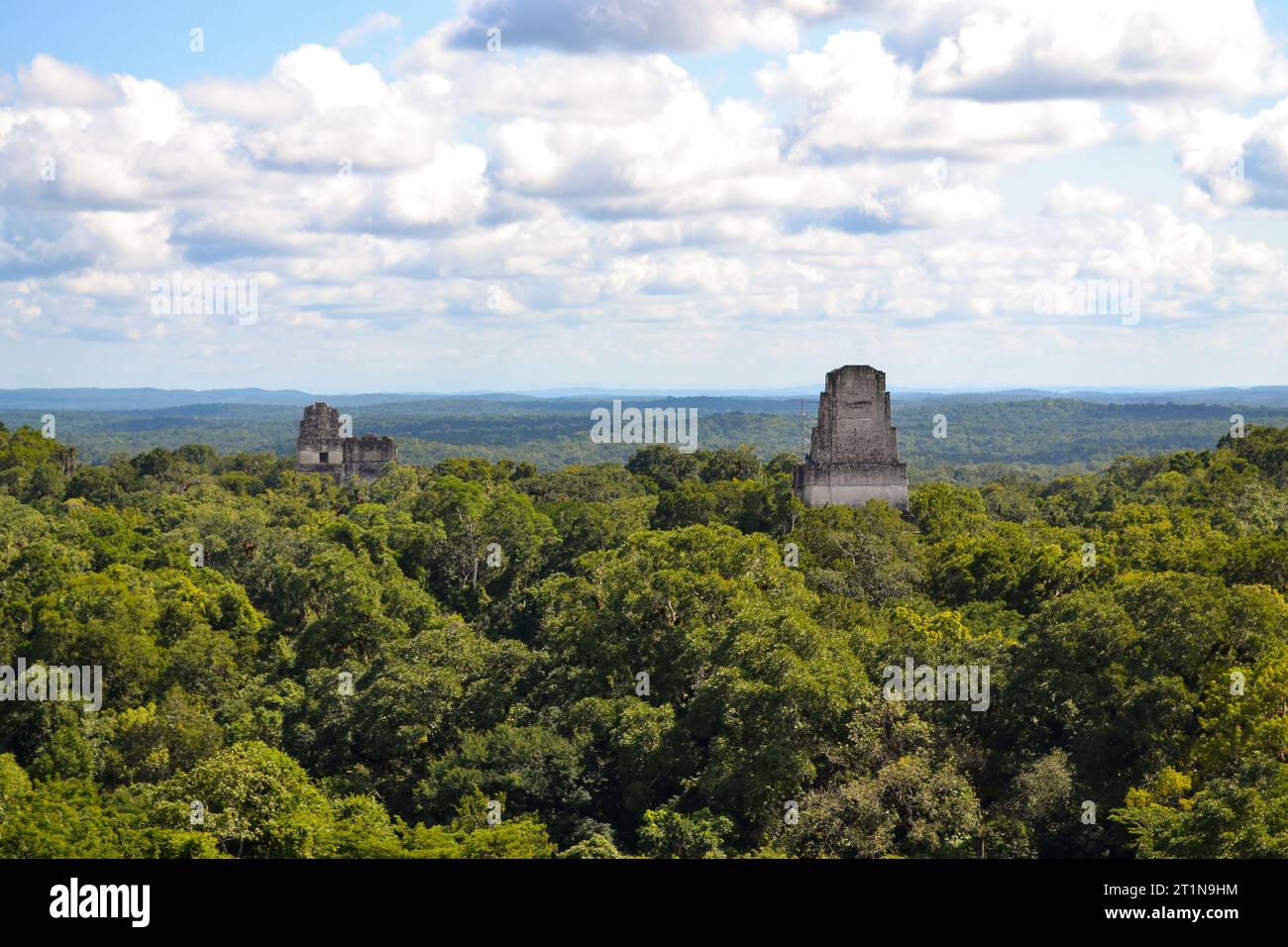 Panoramic view over Tikal (Guatemala) Stock Photo