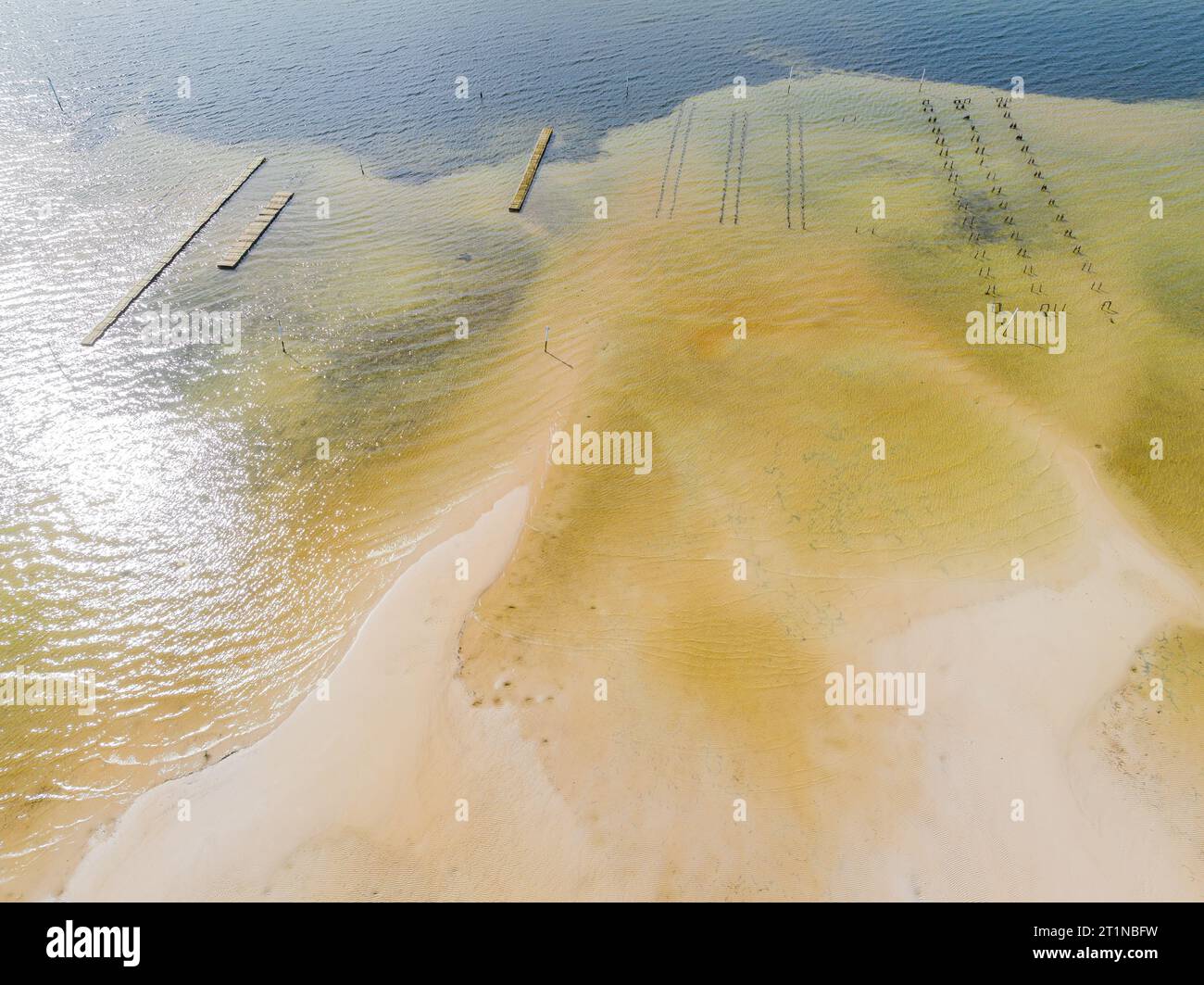 Aerial view of oyster beds in shallow water off Salamander Bay at Port