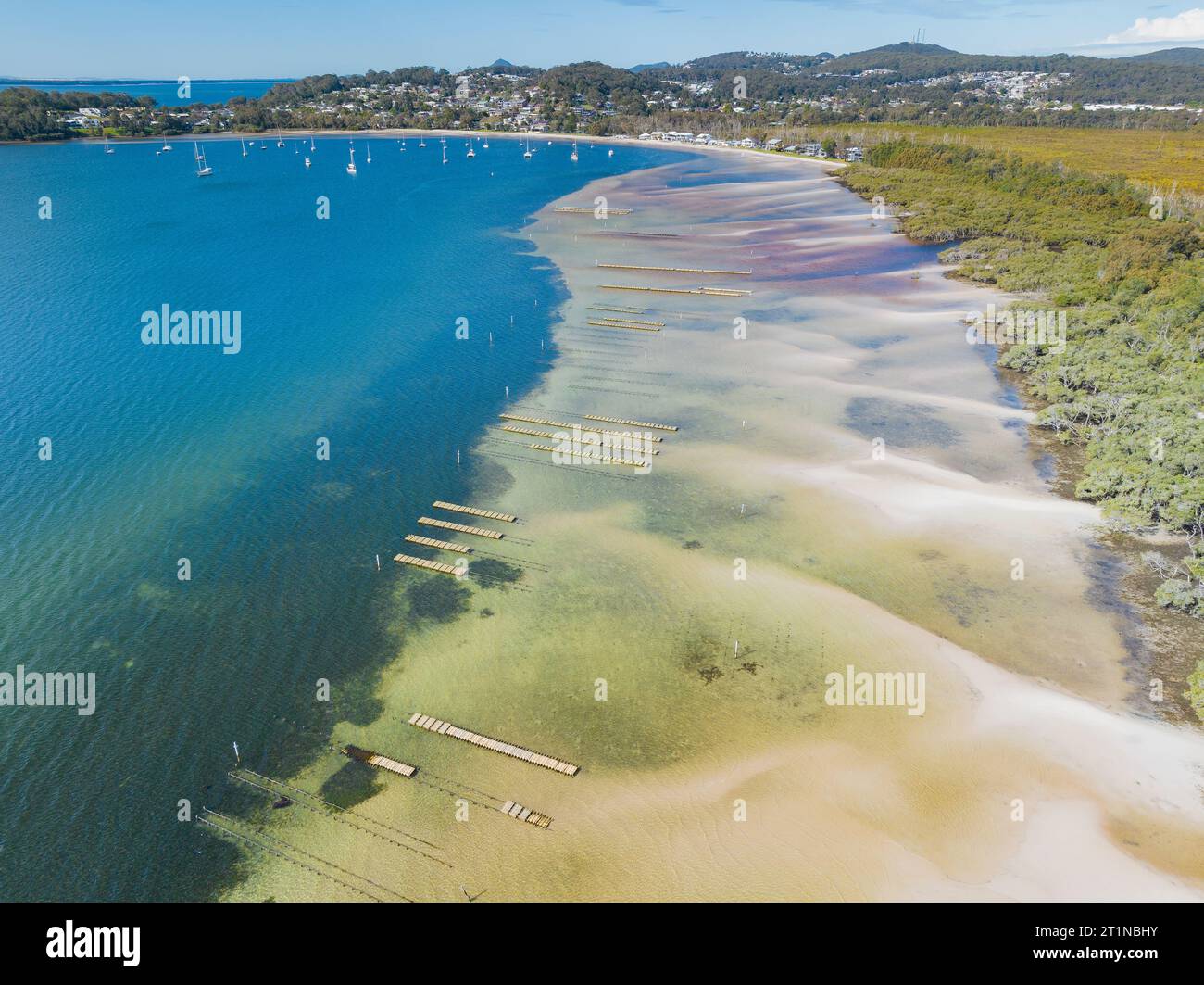 Aerial view of oyster beds in the shallow water off Salamander Bay at