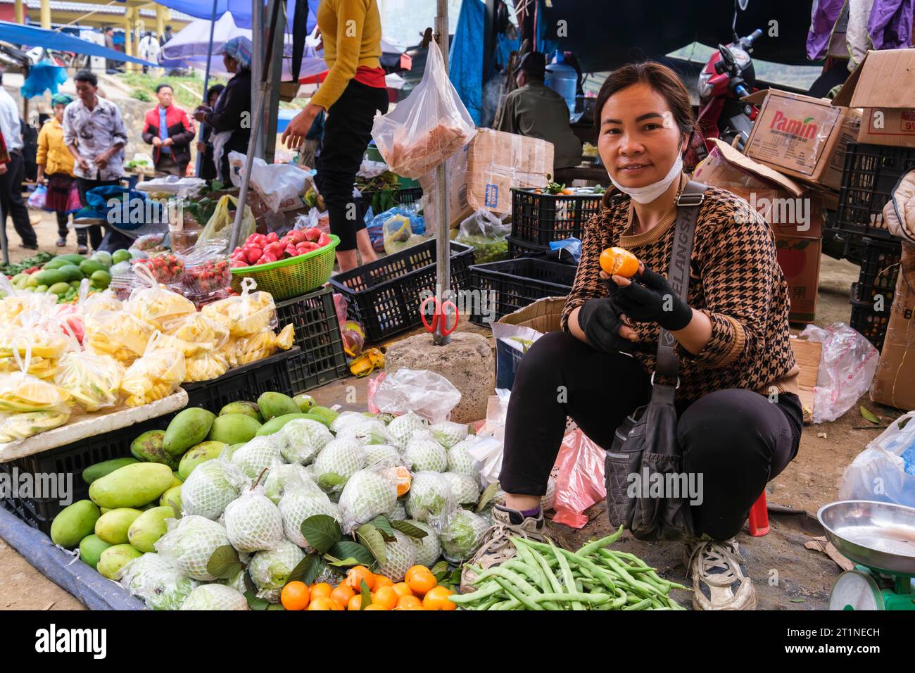 Can Cau Saturday Market, Young Hmong Lady Offering Fruit and Vegetrables for Sale. Lao Cai Province, Vietnam. Stock Photo