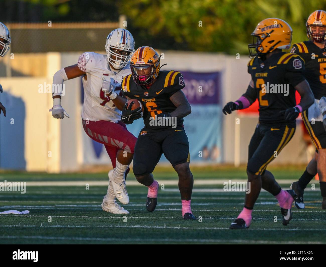 Tsu tigers hires stock photography and images Alamy