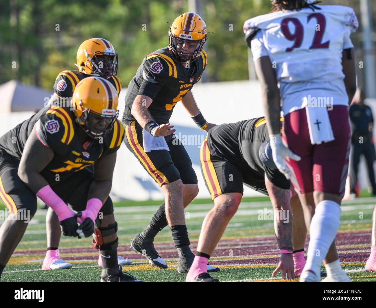 Tsu tigers hi-res stock photography and images - Alamy