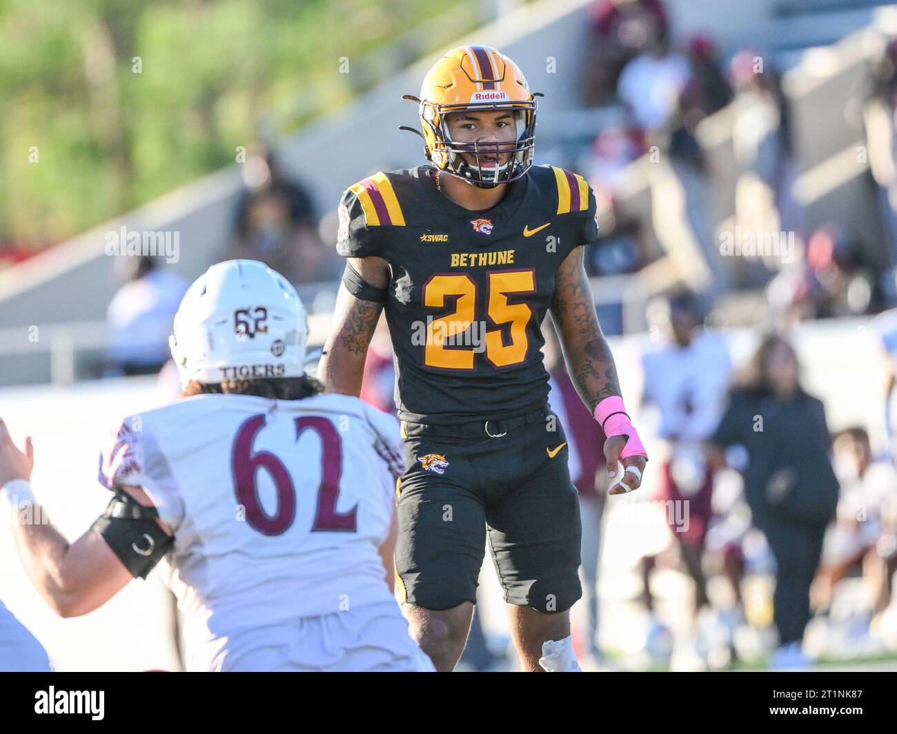 Tsu tigers hires stock photography and images Alamy