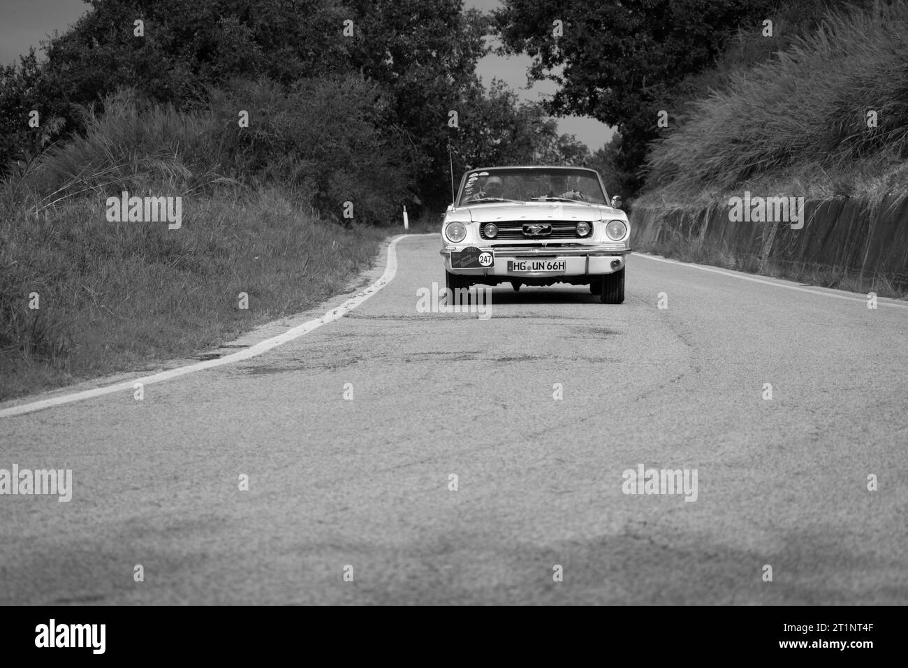 Tavoleto , Italy - sept. 16 - 2023 : FORD MUSTANG GT 1966 in coppa nuvolari old racing Stock Photo