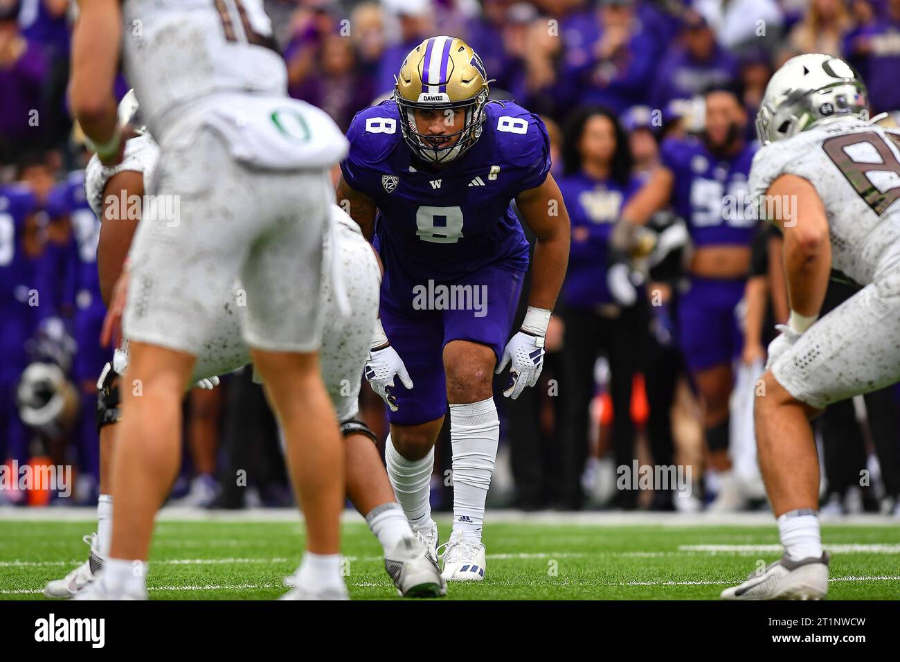 Seattle, WA, USA. 14th Oct, 2023. Washington Huskies defensive end Bralen Trice (8) eyes Oregon QB Bo Nix just before a snap during the NCAA football game between the Oregon Ducks and Washington Huskies at Husky Stadium in Seattle, WA. Washington defeated Oregon 36-33. Steve Faber/CSM/Alamy Live News Stock Photo