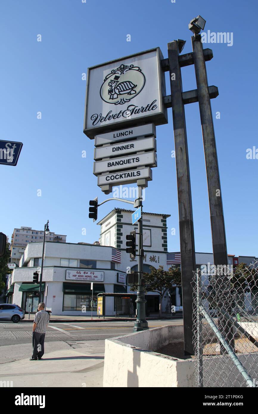 The Velvet Turtle Restaurant Sign Now On Corner of Vacant Lot Downtown