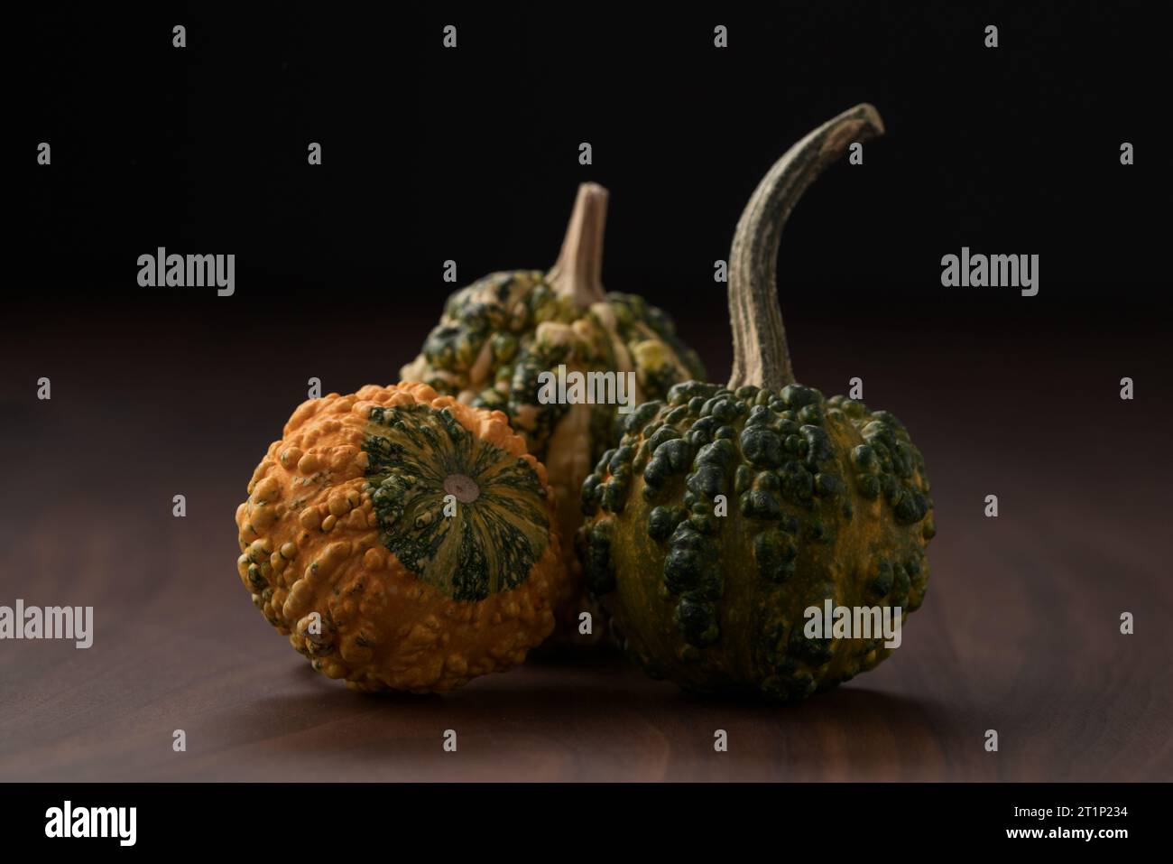 decorative pumpkins on walnut wood table, shallow focus Stock Photo - Alamy