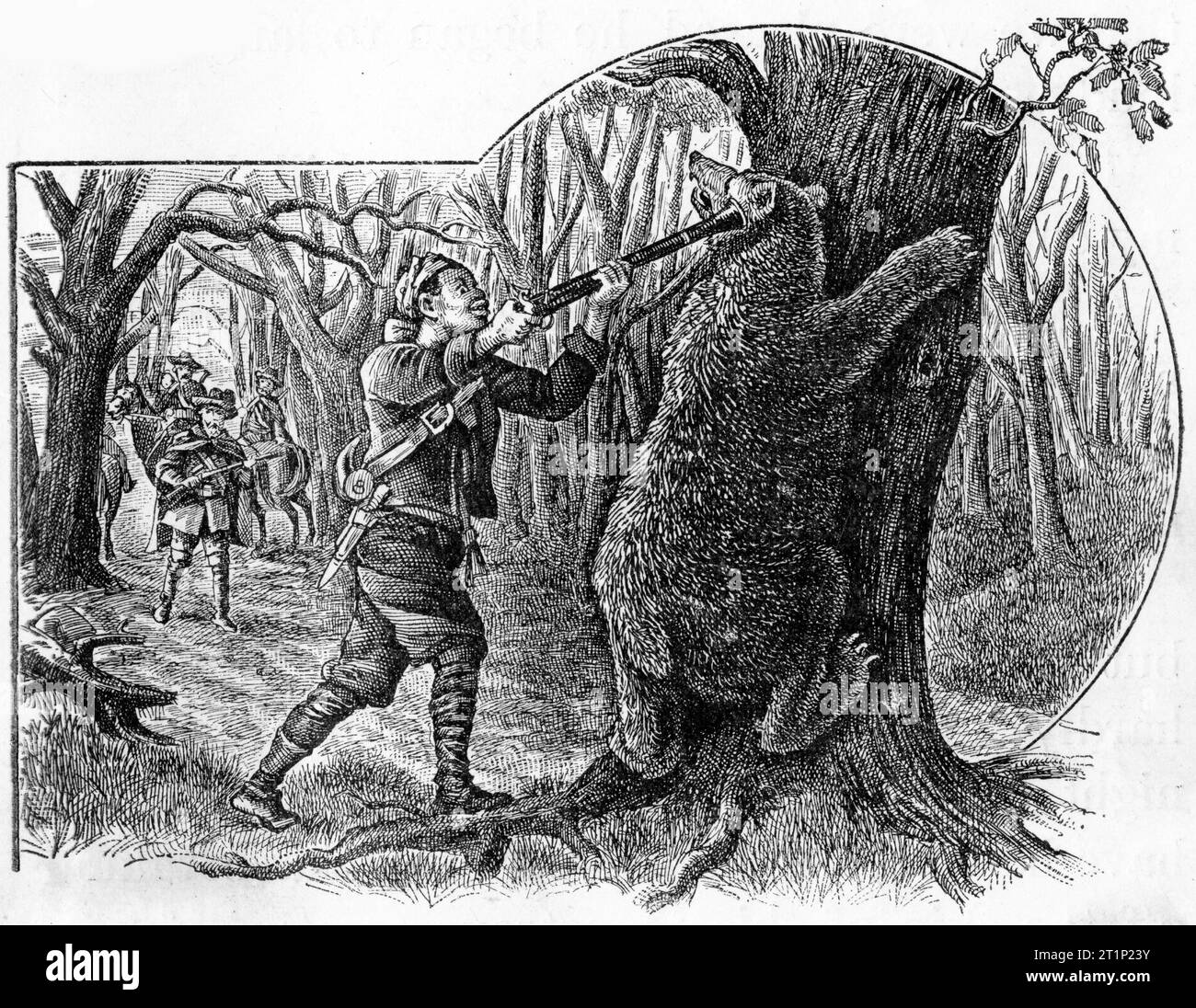 Engraving of a hunting; bailing up a bear in the forest, circa 1880 Stock Photo