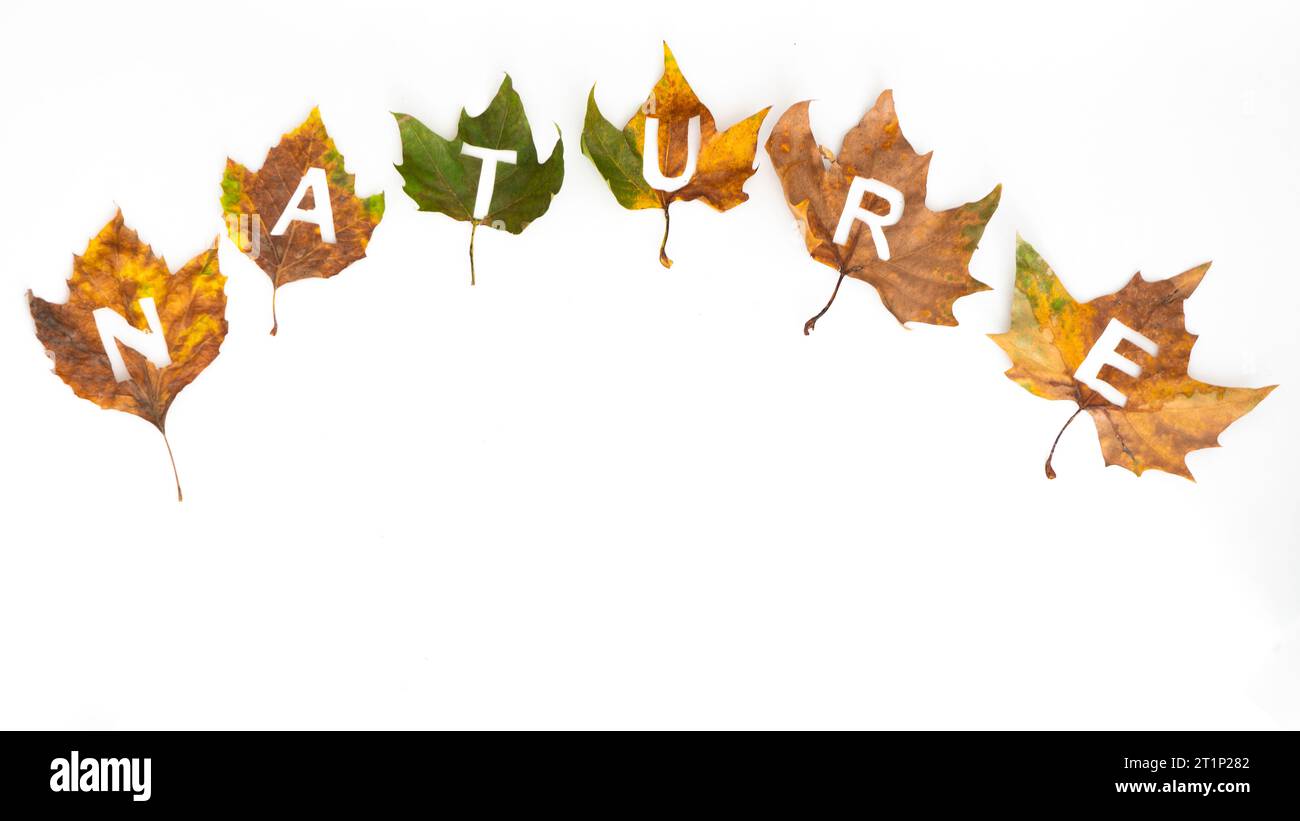 yellow,green and brown autumn leaves spelling the word nature, on isolated background Stock Photo