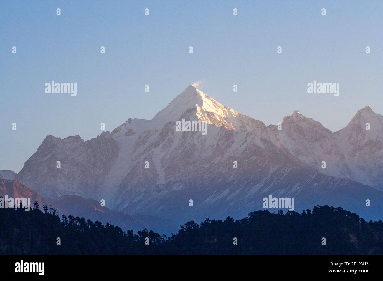 Fauna of himalaya hi-res stock photography and images - Alamy