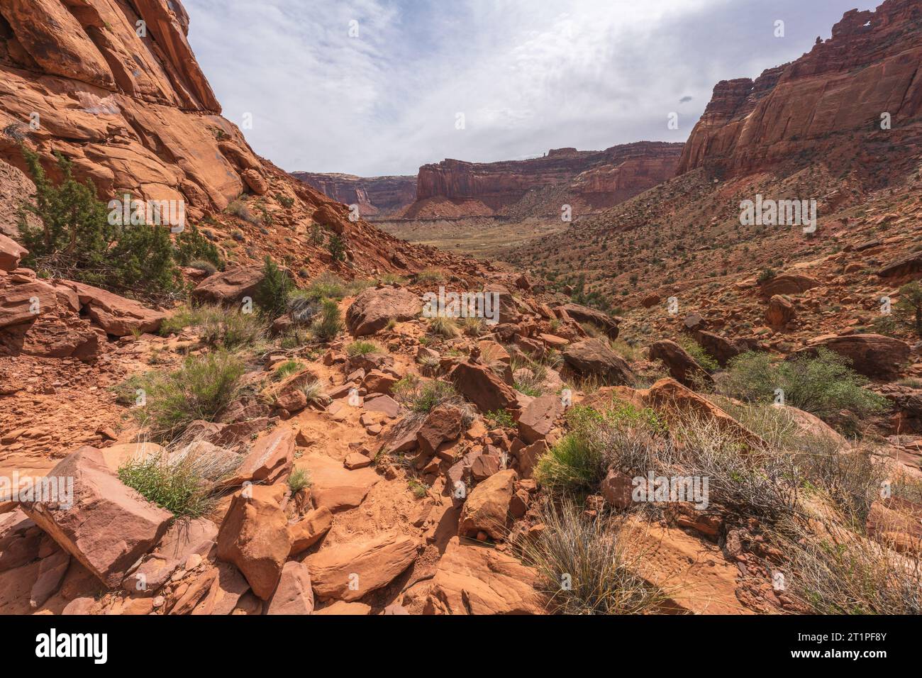 hiking the alcove spring trail in canyonlands national park, usa Stock ...