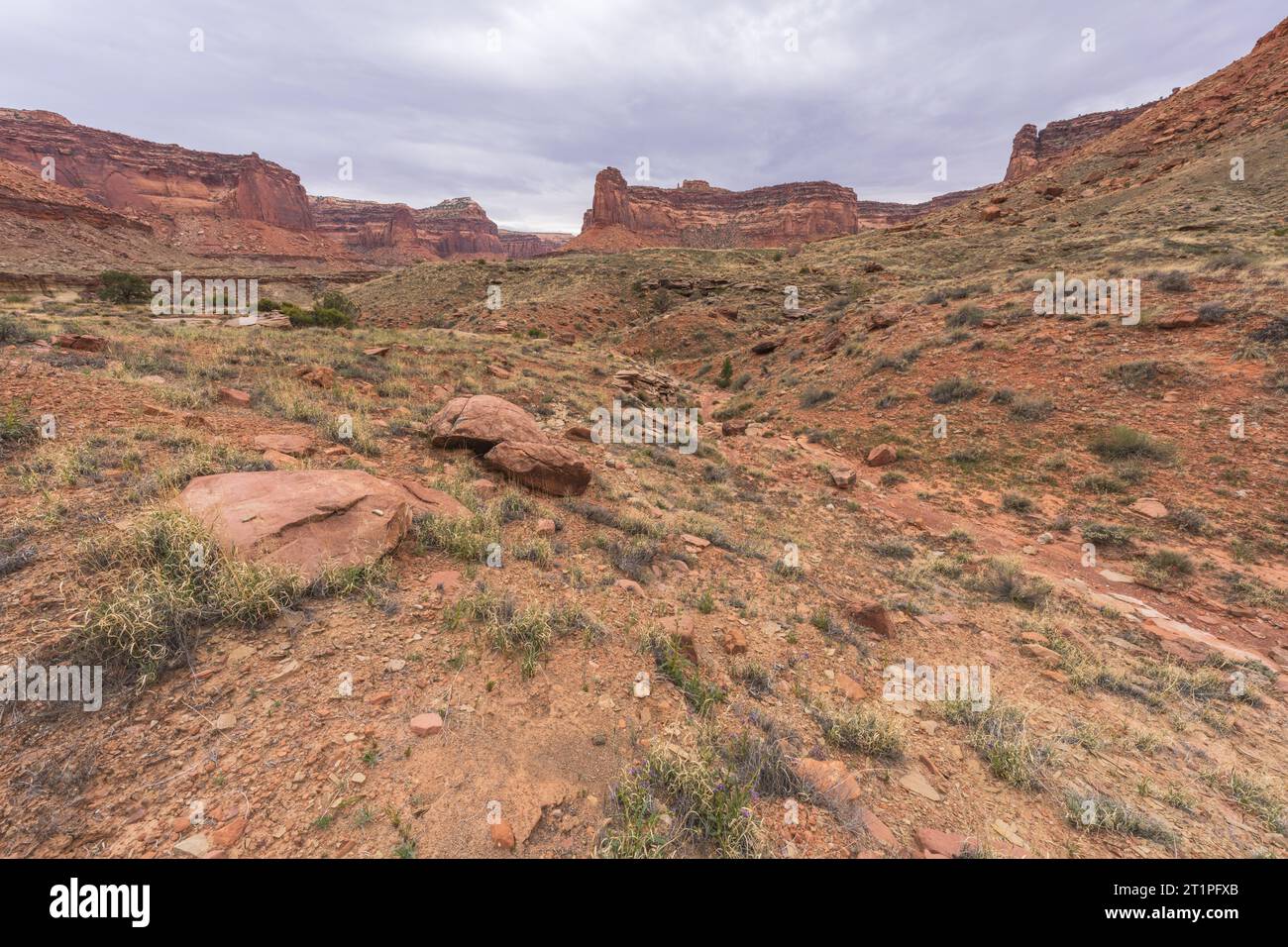 hiking the alcove spring trail in canyonlands national park, usa Stock ...