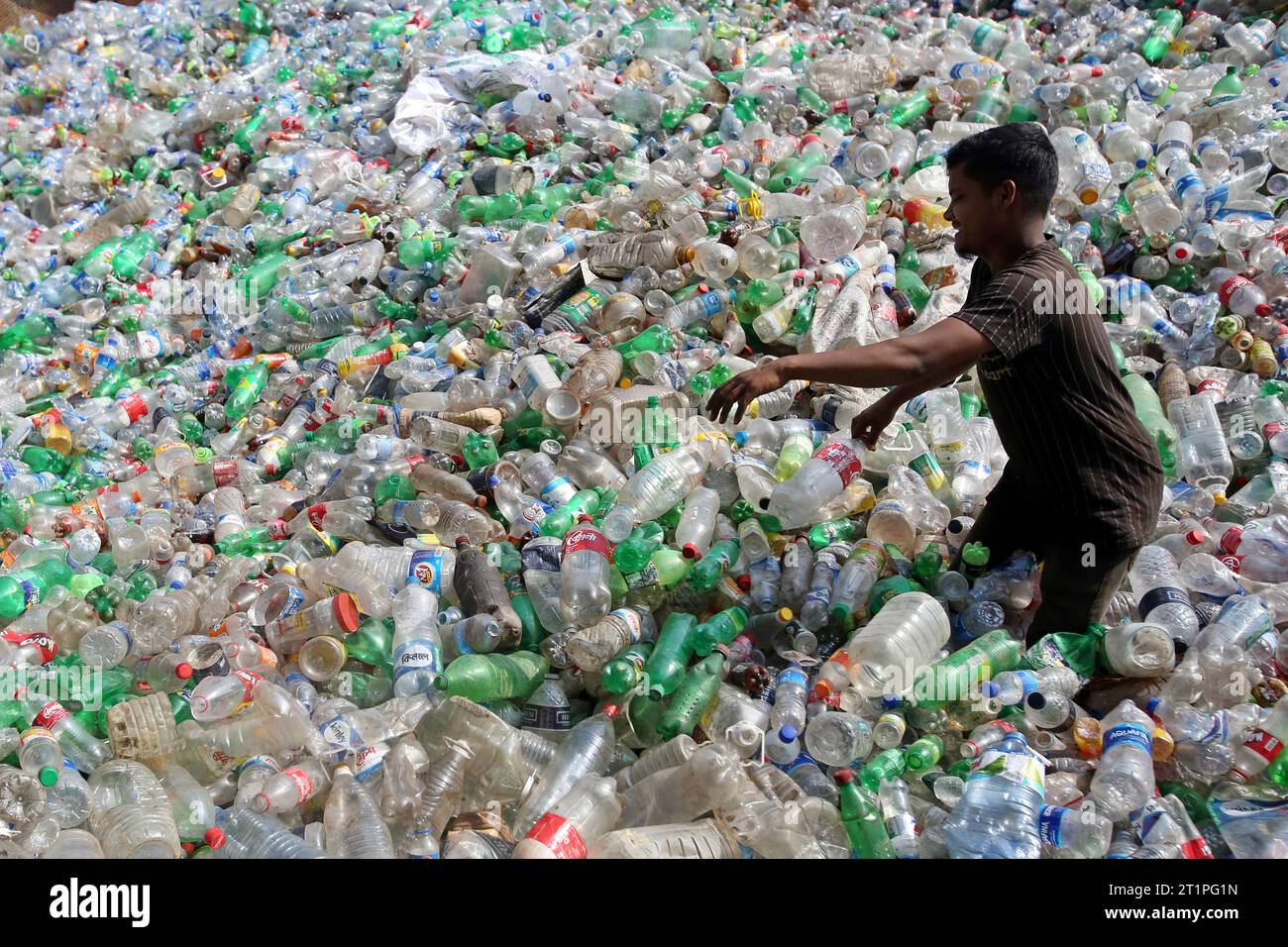 Dhaka, Wari, Bangladesh. 14th Oct, 2023. Employees recycling empty pet