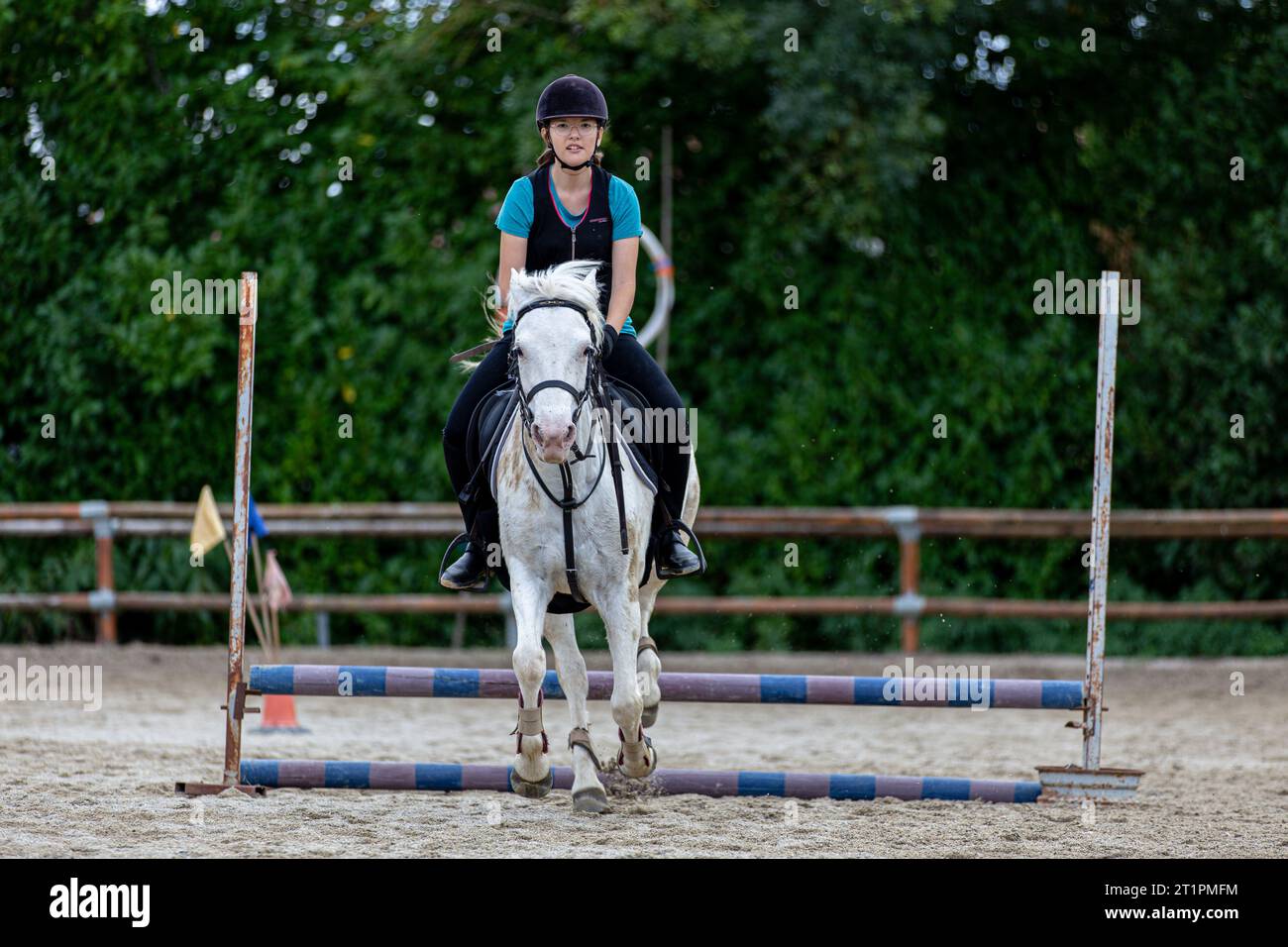 Young girl riding a white horse during training Stock Photo