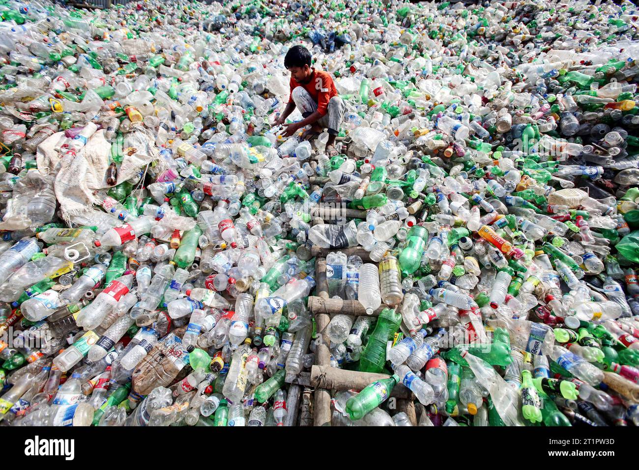 Plastikflaschen Sortierung und Recycling in Bangladesch Employees