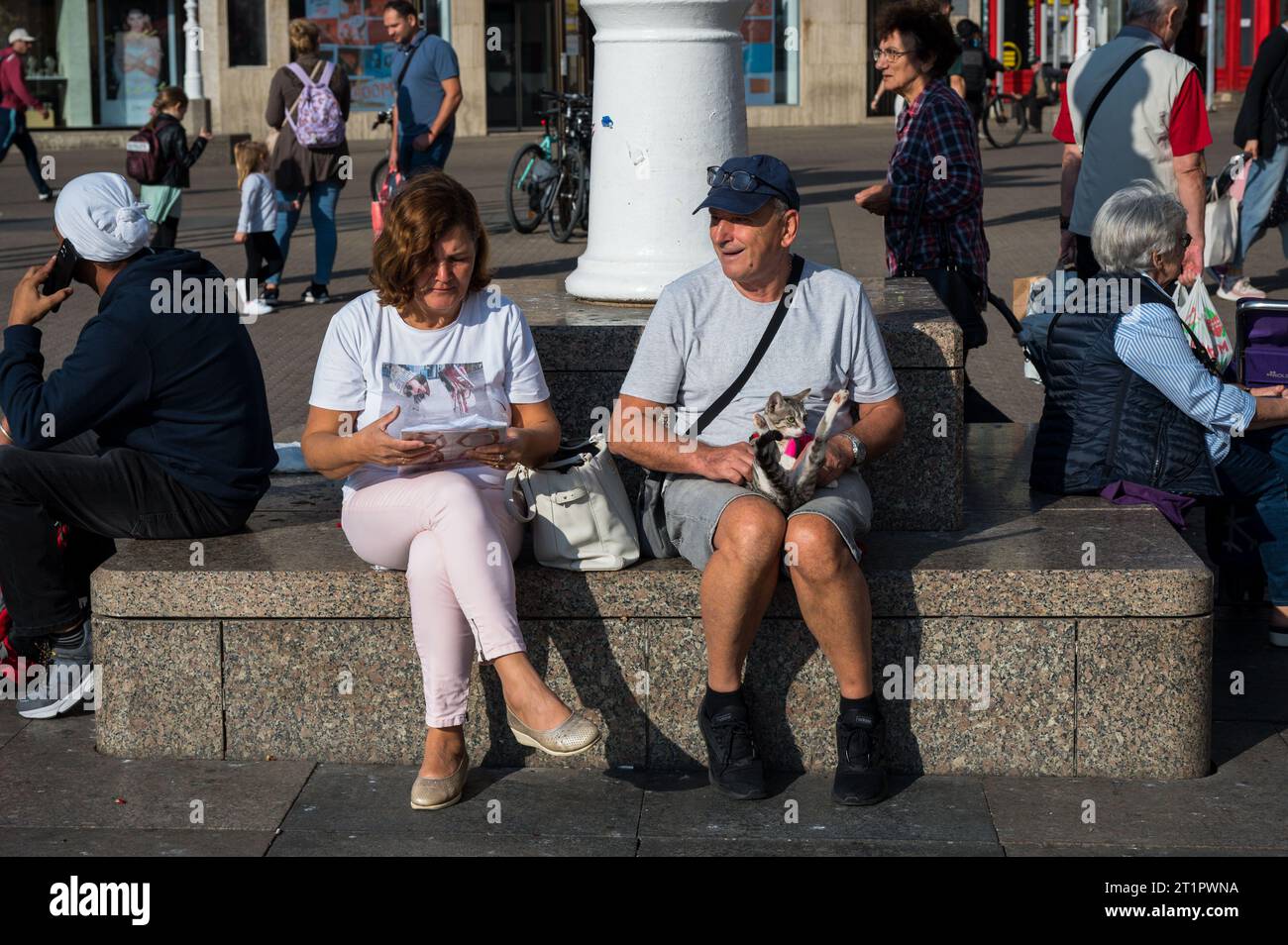 Zagreb, Croatia. 14th Oct, 2023. Cat on a leash seen in the city center, in Zagreb, Croatia, on October 14, 2023. Photo: Karlo Klasic/PIXSELL Credit: Pixsell/Alamy Live News Stock Photo