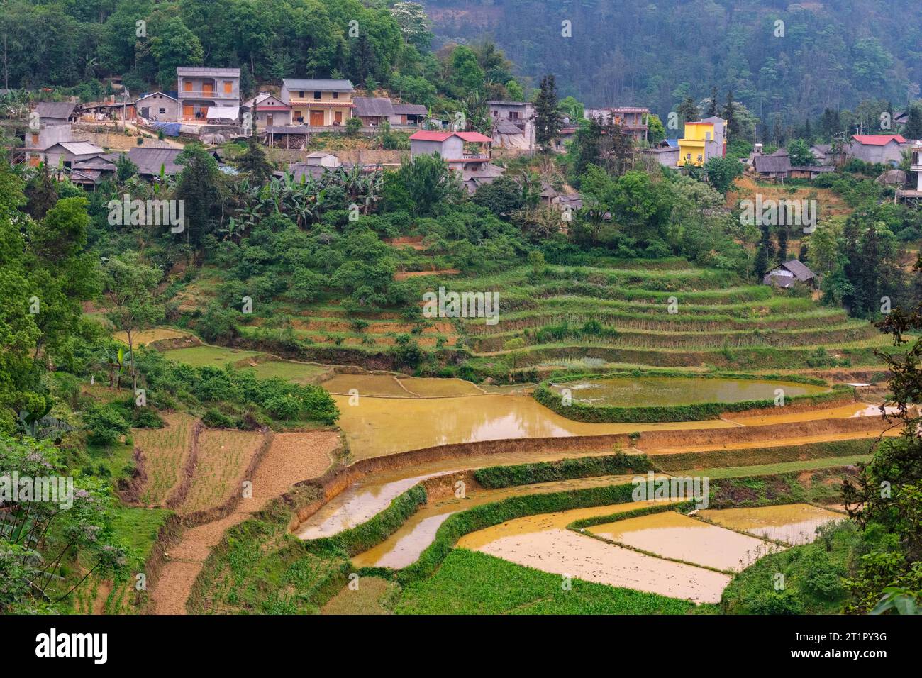 Bac Ha, Vietnam. Terraced Farmland in Hills above Bac Ha. Lao Cai Province. Stock Photo
