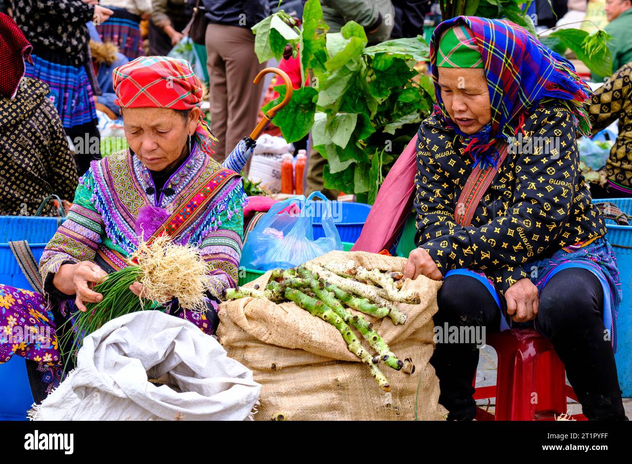 Bac Ha, Vietnam. Hmong Women in the Market. Lao Cai Province. Stock Photo