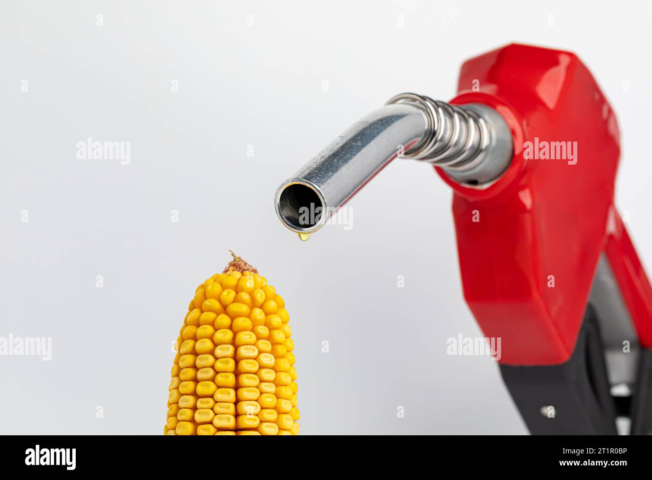 Ethanol gasoline dripping from fuel nozzle with ear of corn. Biofuel