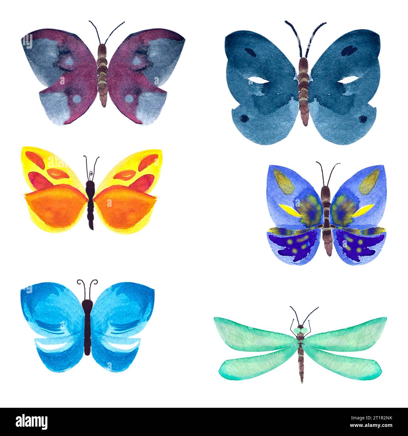 Hand painted watercolor bright buterflies set Stock Photo