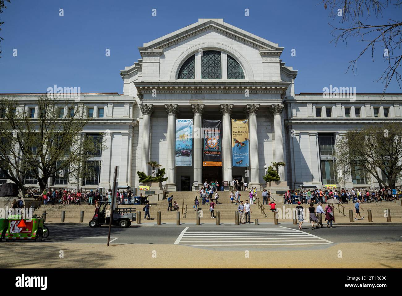 Smithsonian Museum of Natural History, Washington, DC, USA. Stock Photo