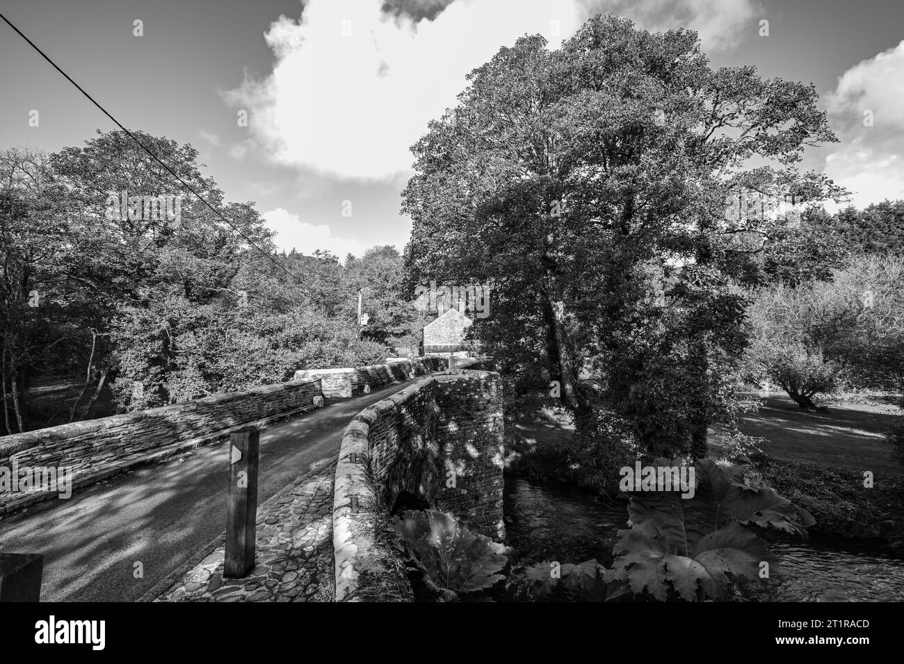 HELLAND BRIDGE 14 CENTURY MEDIEVAL BRIDGE HELLAND BODMIN MOOR CORNWALL Stock Photo Alamy