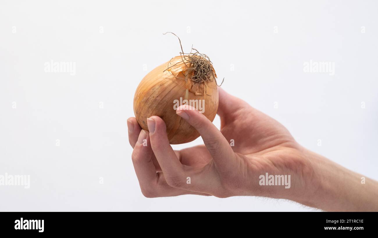 Woman cutting green onion in hi-res stock photography and images - Alamy