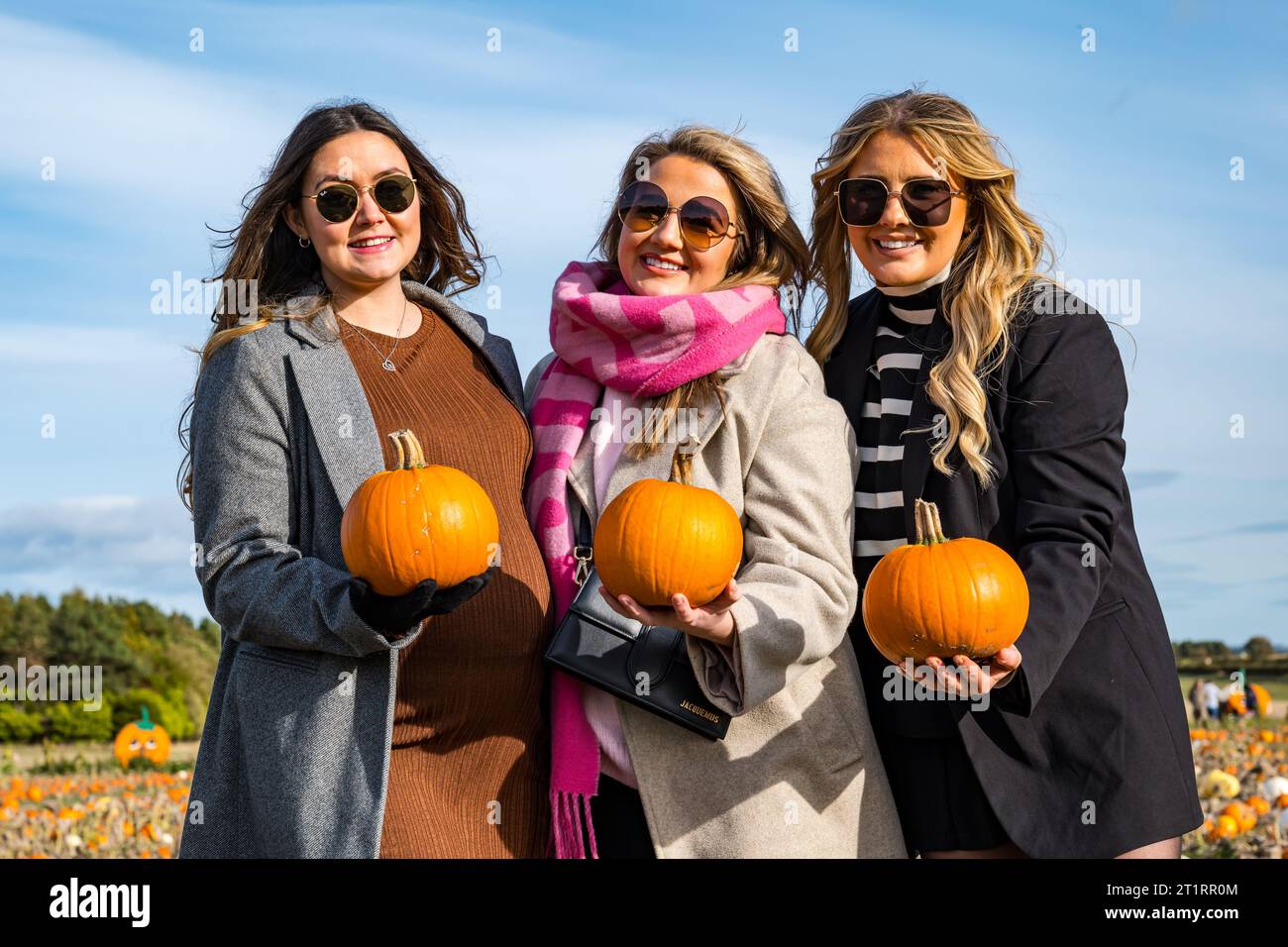 Kilduff Farm, East Lothian, Scotland, UK, 15th October 2023. Pumpkin Patch Festival: the popular pumpkin patch opens this weekend with visitors enjoying the culinary and Halloween pumpkins  and the sunny weather. Pictured: three young omen fave fun with the Halloween carving pumpkins. Credit: Sally Anderson/Alamy Live News Stock Photo