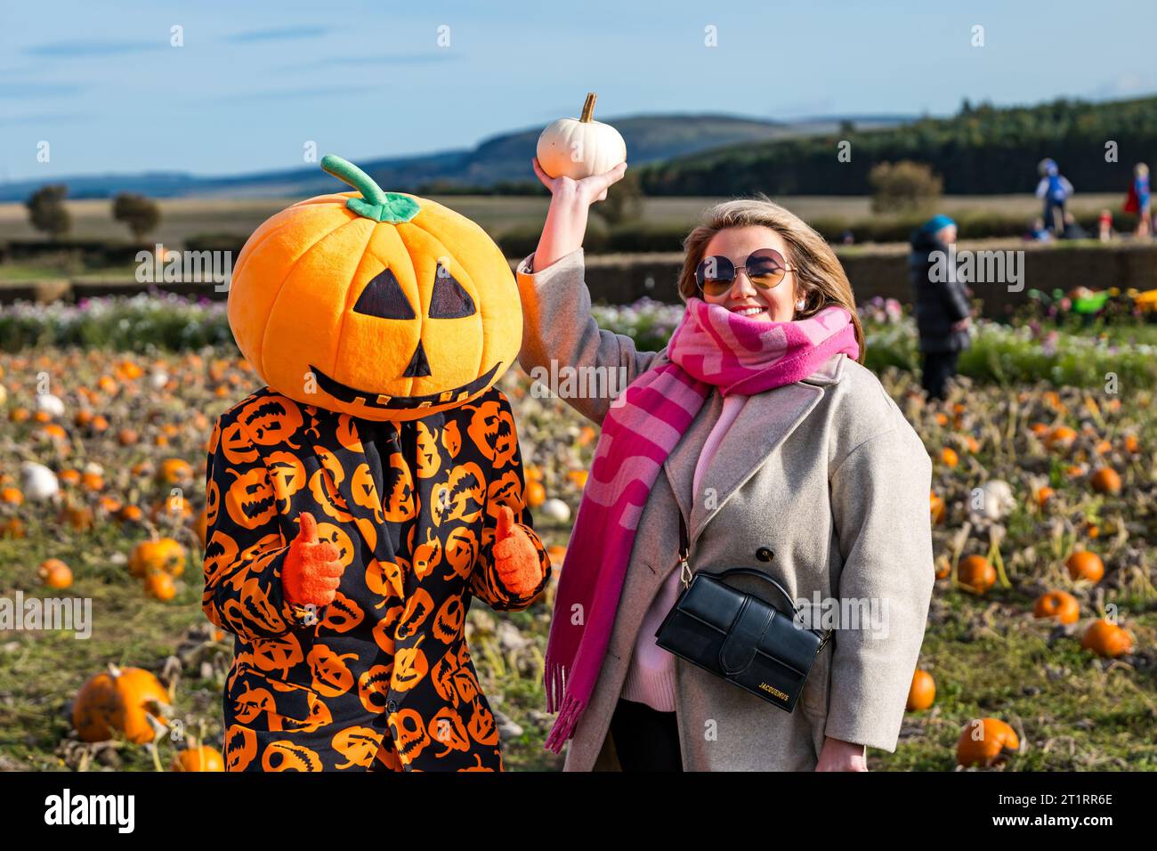 Kilduff Farm, East Lothian, Scotland, UK, 15th October 2023. Pumpkin Patch Festival: the popular pumpkin patch opens this weekend with visitors enjoying the culinary and Halloween pumpkins and the sunny weather. Pictured: a quirky pumpkin scarecrow. Credit: Sally Anderson/Alamy Live News Stock Photo