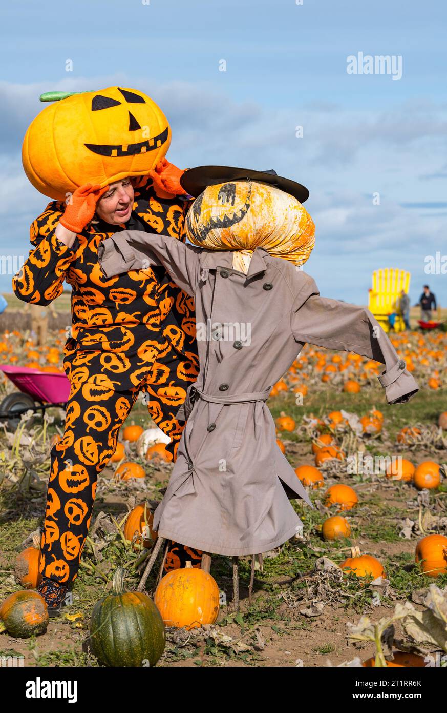 Kilduff Farm, East Lothian, Scotland, UK, 15th October 2023. Pumpkin Patch Festival: the popular pumpkin patch opens this weekend with visitors enjoying the culinary and Halloween pumpkins and the sunny weather. Pictured: a quirky pumpkin scarecrow and a pumpkin costume. Credit: Sally Anderson/Alamy Live News Stock Photo