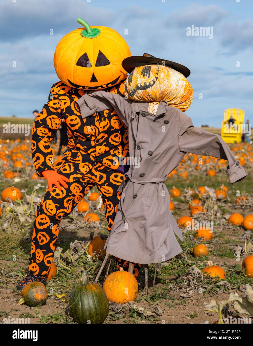 Kilduff Farm, East Lothian, Scotland, UK, 15th October 2023. Pumpkin Patch Festival: the popular pumpkin patch opens this weekend with visitors enjoying the culinary and Halloween pumpkins and the sunny weather. Pictured: a quirky pumpkin scarecrow and a pumpkin costume. Credit: Sally Anderson/Alamy Live News Stock Photo