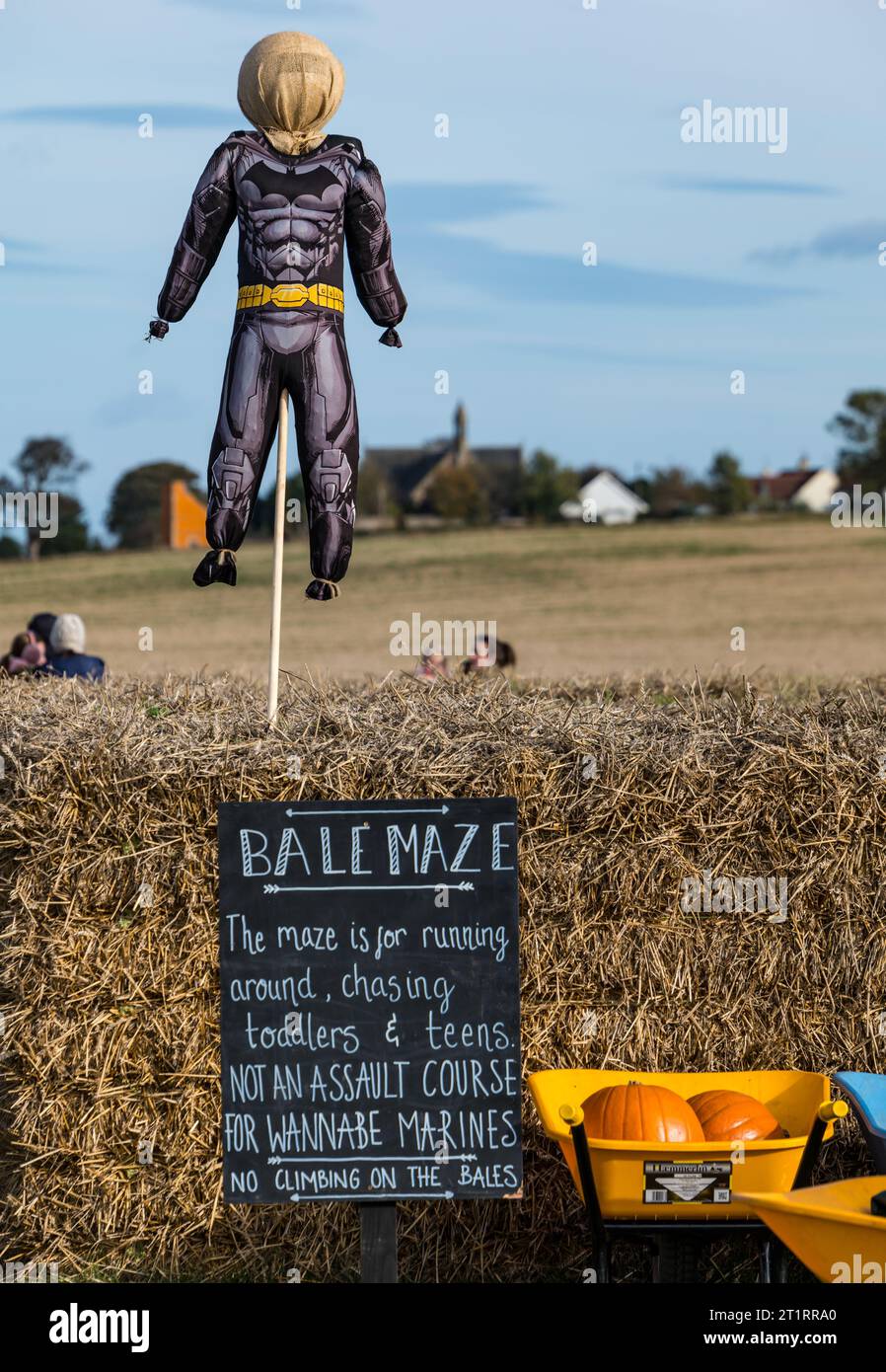 Kilduff Farm, East Lothian, Scotland, UK, 15th October 2023. Pumpkin Patch Festival the popular