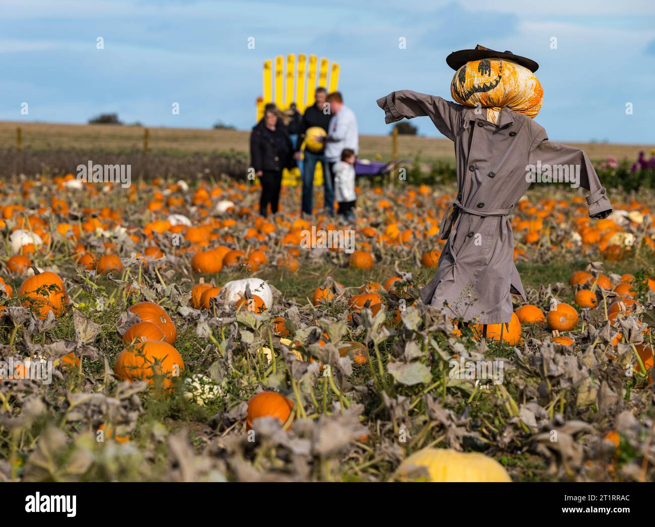 Kilduff Farm, East Lothian, Scotland, UK, 15th October 2023. Pumpkin Patch Festival: the popular pumpkin patch opens this weekend with visitors enjoying the culinary and Halloween pumpkins and the sunny weather. Pictured: a quirky pumpkin scarecrow. Credit: Sally Anderson/Alamy Live News Stock Photo