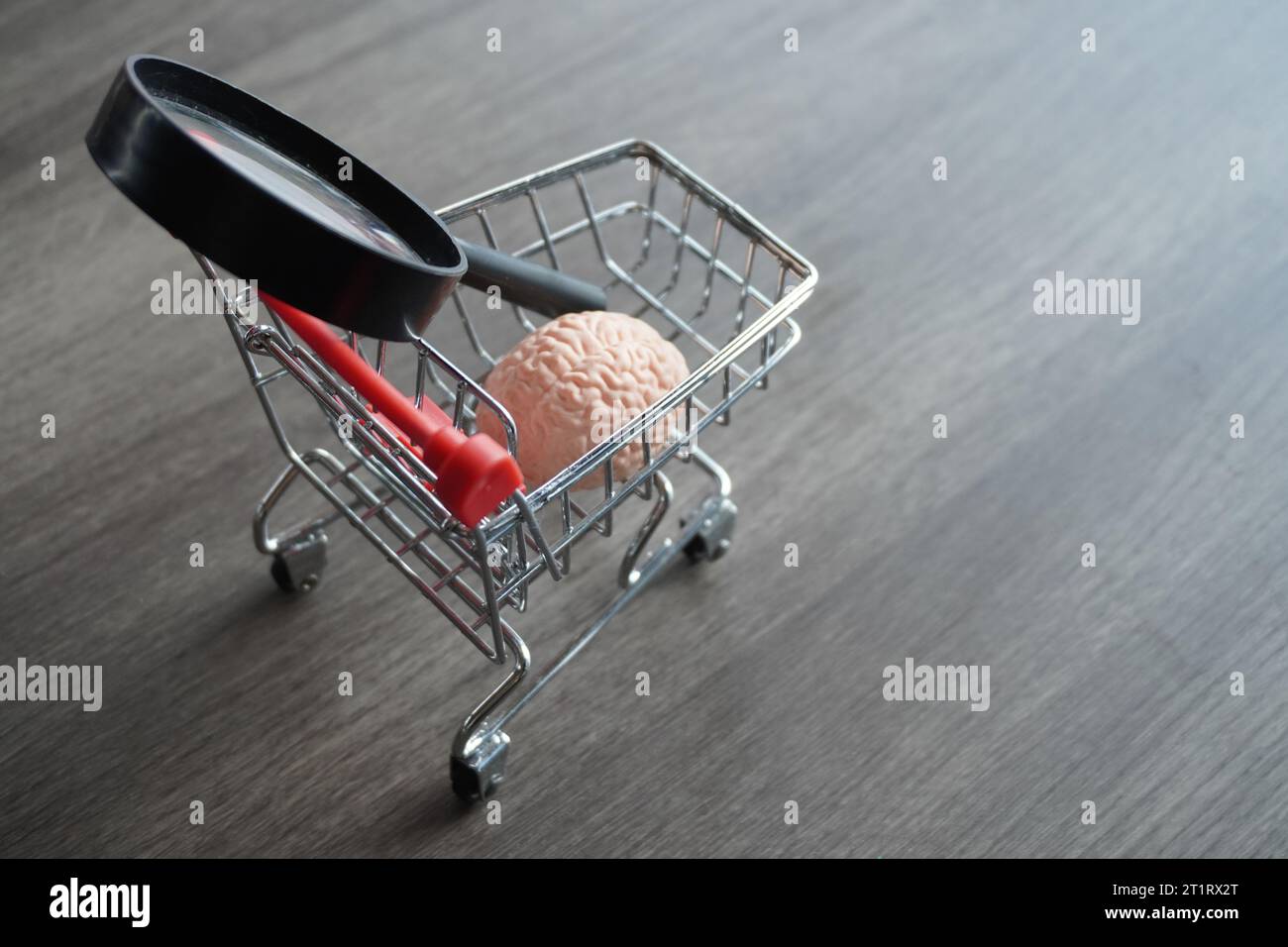 A human brain and magnifying glass inside shopping carts. Consumer behavior analysis and market research concept. Stock Photo