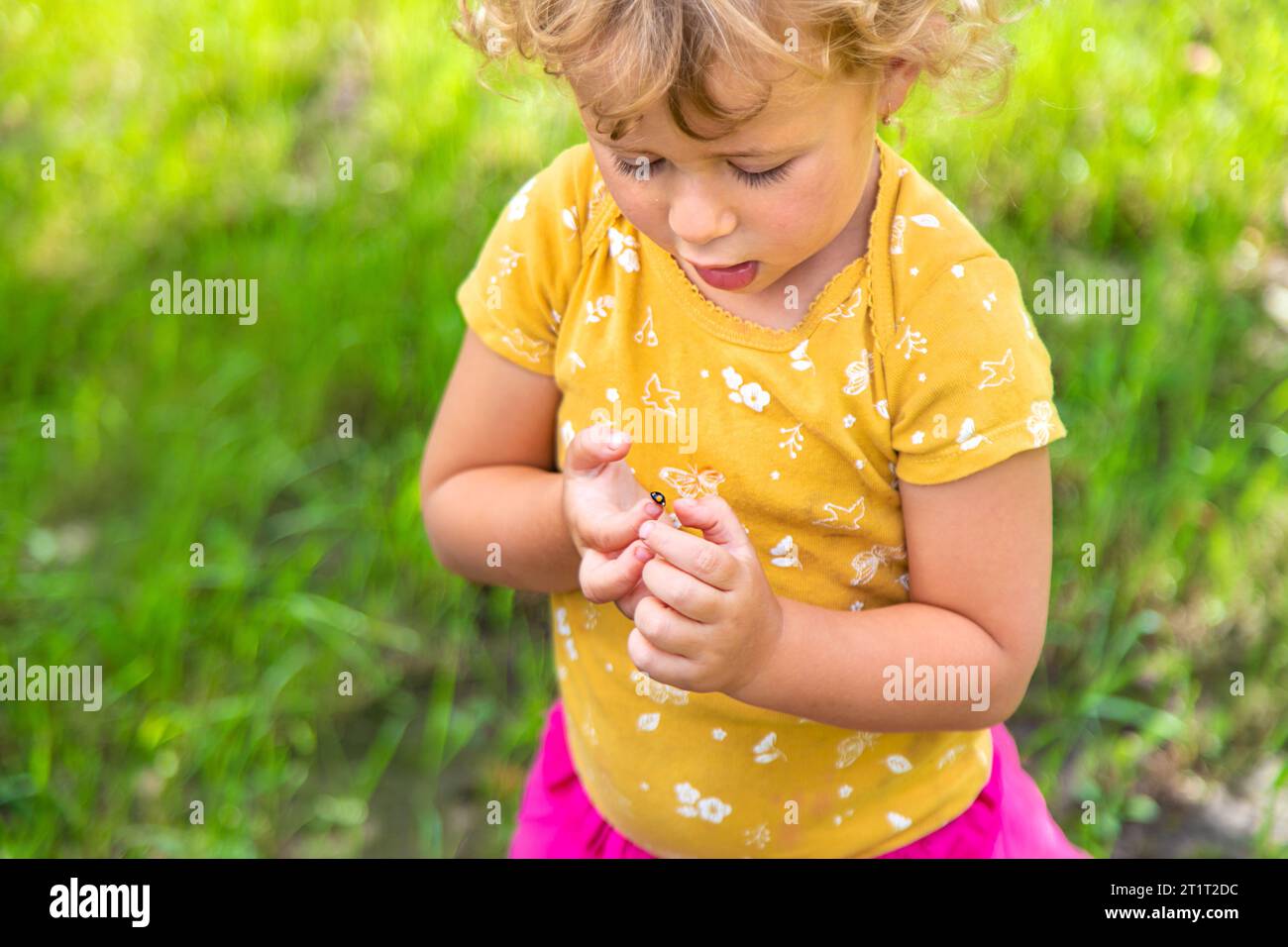 A child holds a ladybug on her hand. Selective focus. Stock Photo