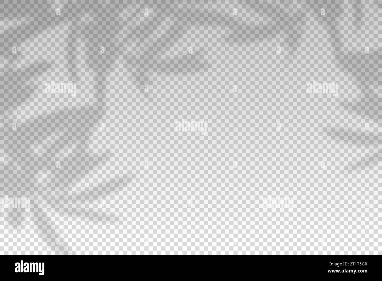 Plants overlay shadow. Reflect light from branches. Sun rays reflection shadows on wall