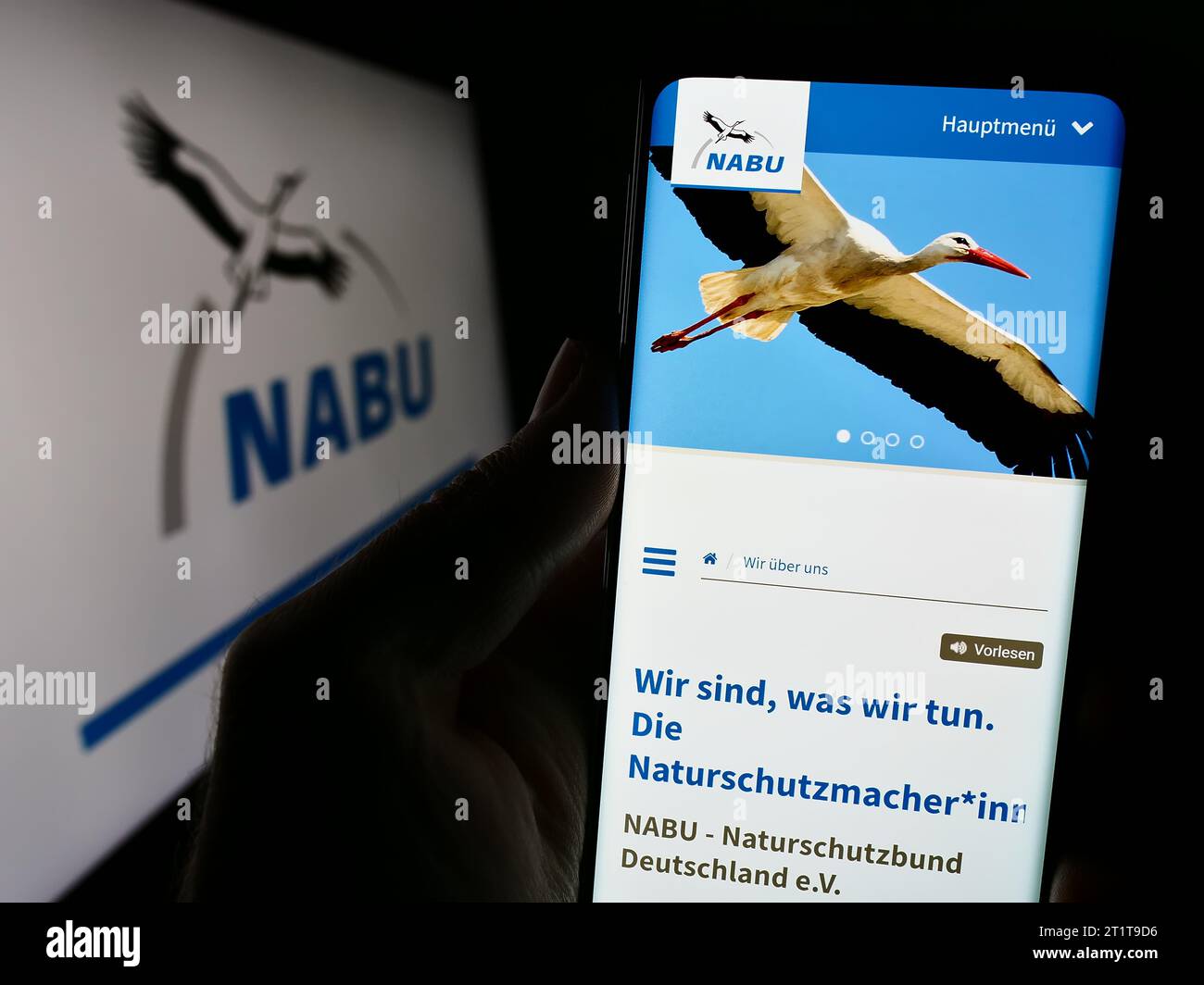Person holding cellphone with website of association Naturschutzbund Deutschland e.V. (NABU) in front of logo. Focus on center of phone display. Stock Photo